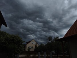Zalahaláp