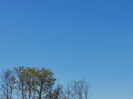Kisléta