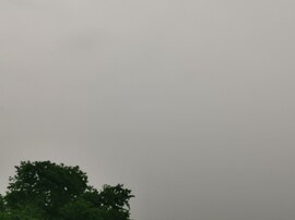 Kisléta