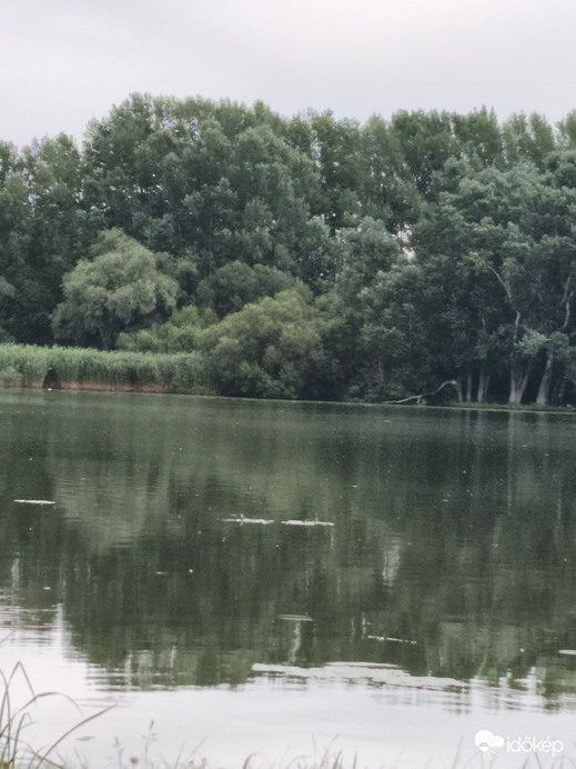 Tiszabábolna