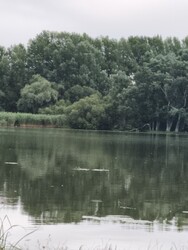 Tiszabábolna