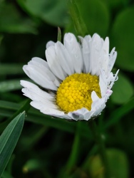 Bükki Nemzeti Park 