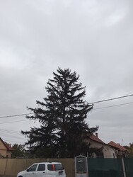 Szolnok