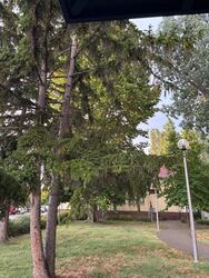 Alsóörs