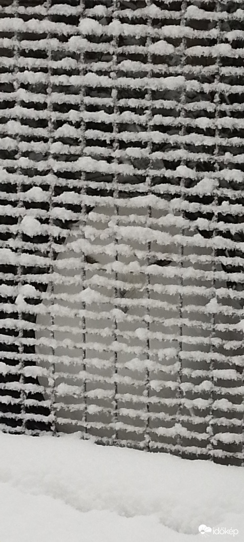 Hol bújt el a hóbagoly?