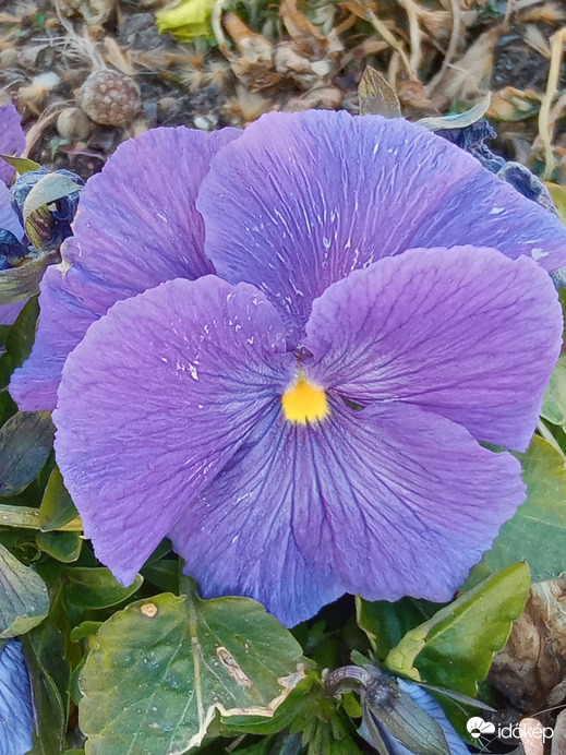 :)