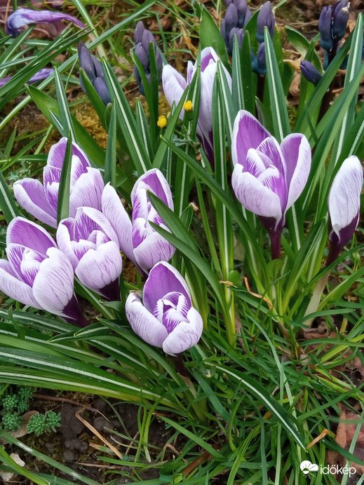 Szépségek a földön :)