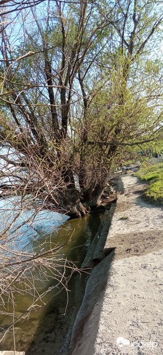 Duna vízállás Budapestnél