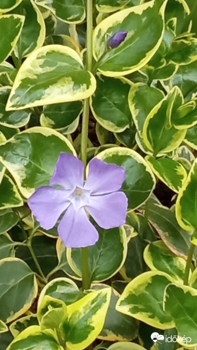 :)