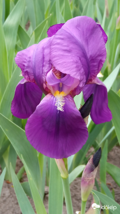 :)
