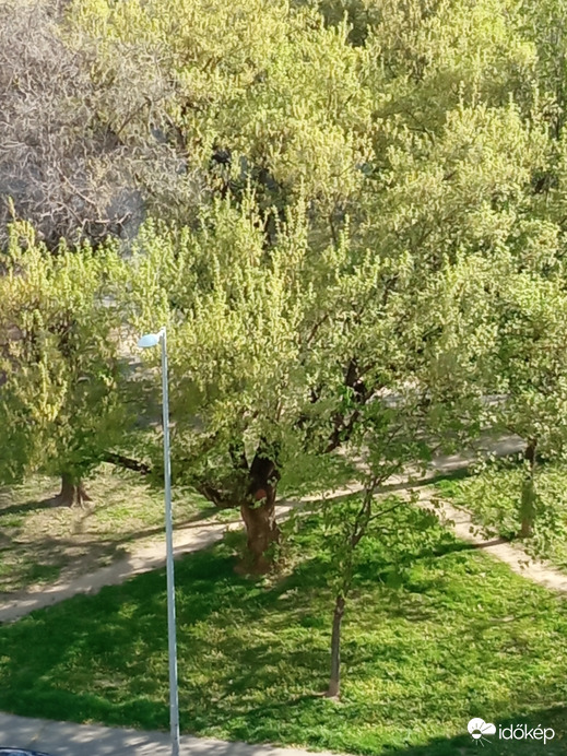 Nálam süt a Nap