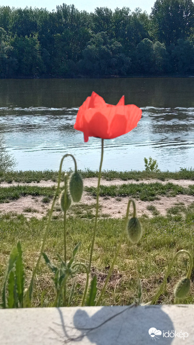 A Dunánál :)