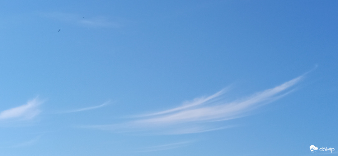 Bajusz vagy szemöldök ;D