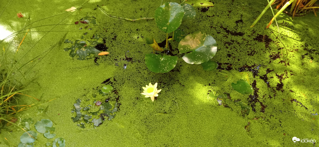 ☺️