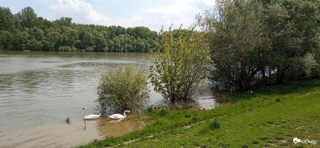 Budapest, 13 óra tájban - váratlan vendégek a Dunán 