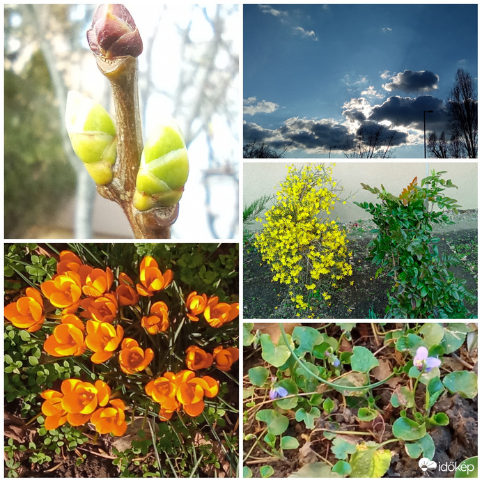 Egyre több szín és látnivaló ☺️ - közeledik a tavasz 