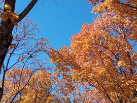 Budapesti időjárás ☺️