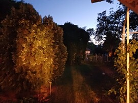 Sződliget