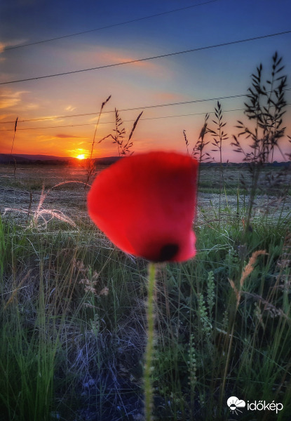 Utolsó sugarak