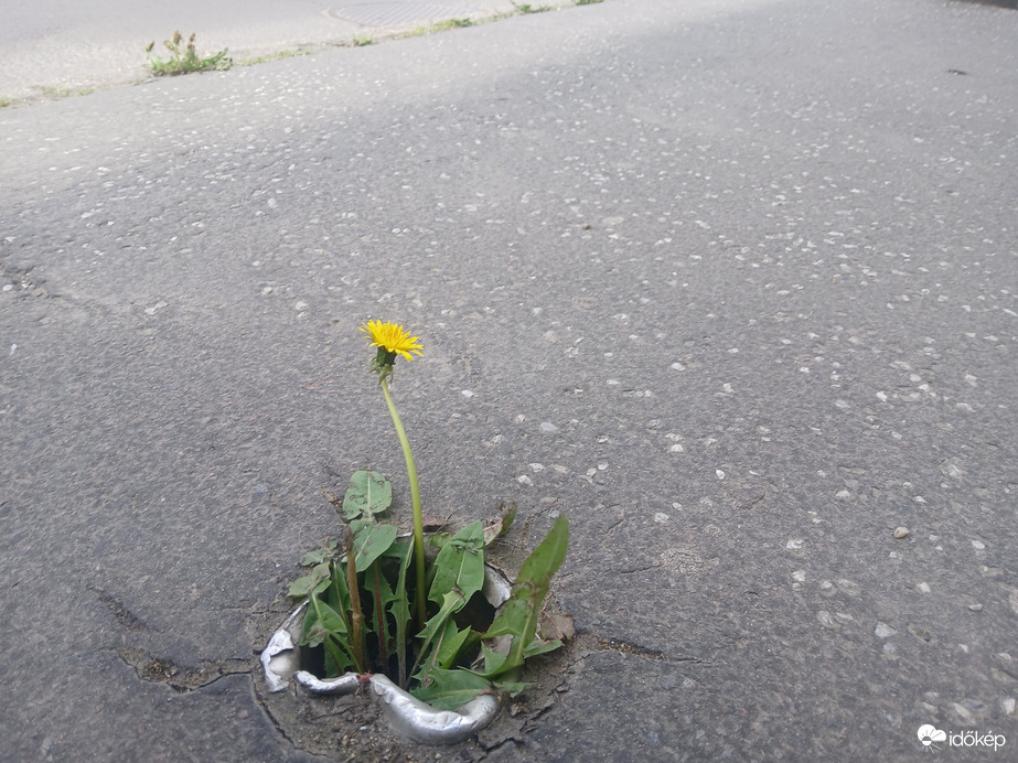 Amikor nehéz, mégis boldog vagy:)