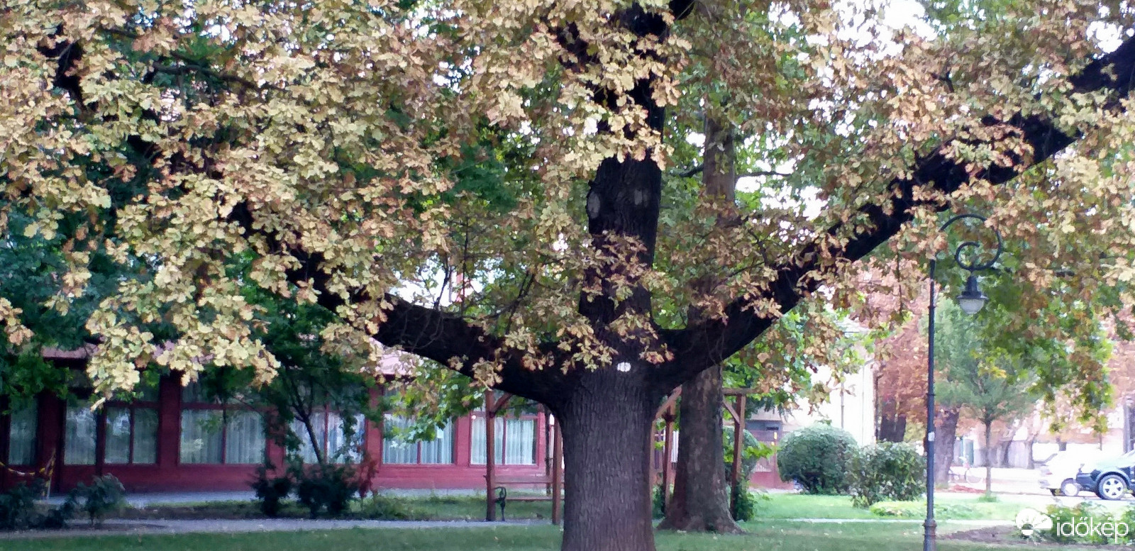 Tárt karokkal