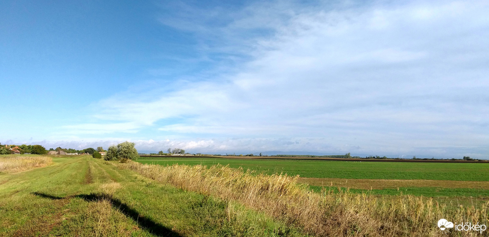 Tisztuló horizont 