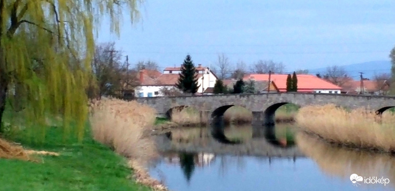 Tarna - holtág