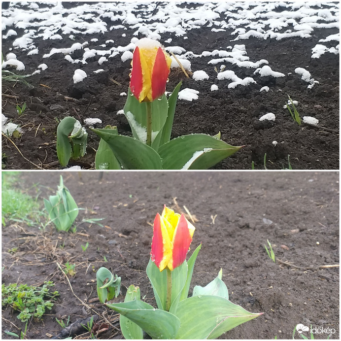 Csak egy kis tréfa volt! :)