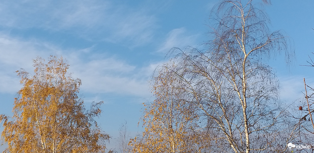 "Kék és narancssárga színekbe öltözött..."