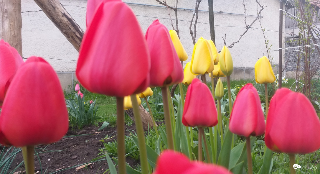 Tavasz:))
