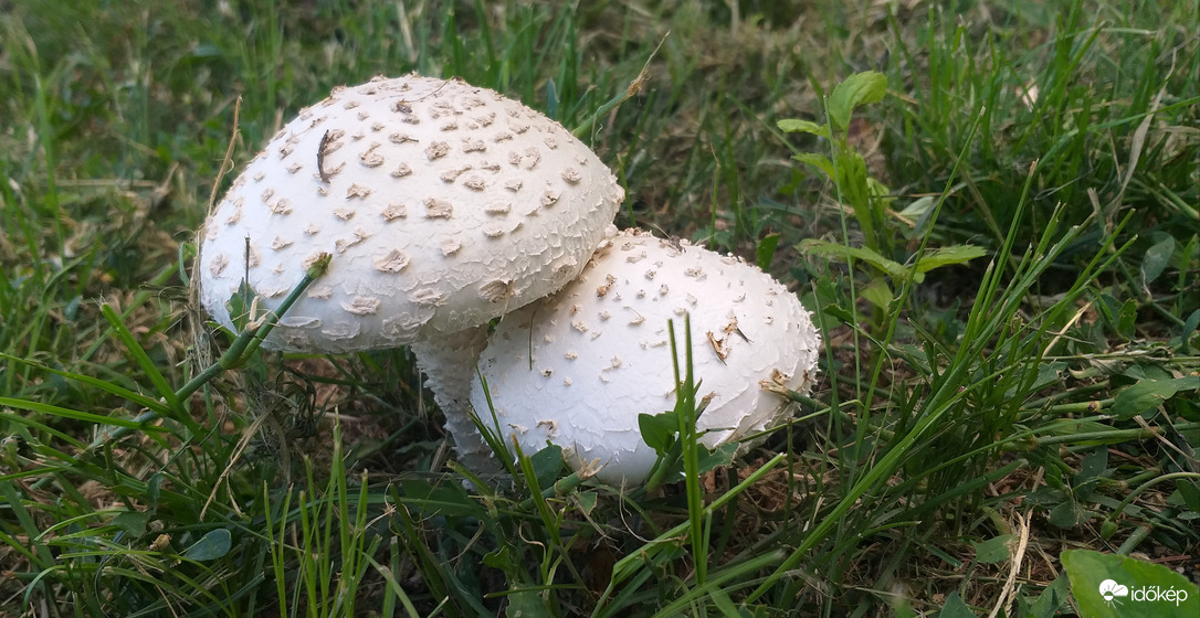 "Párban szép az élet!" :)