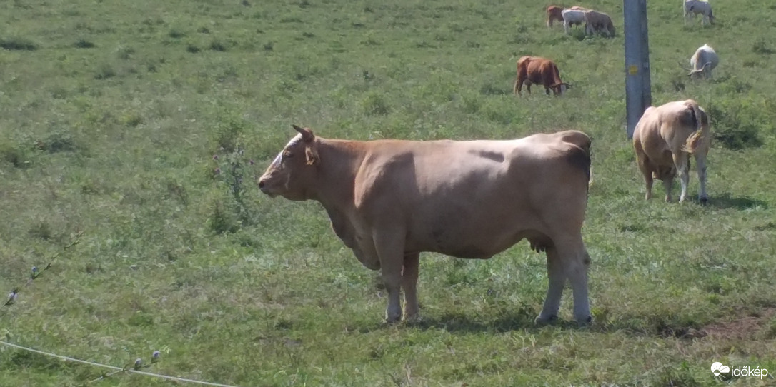 Kész van már az a fotó? Már nagyon (m)elegem van!!:)