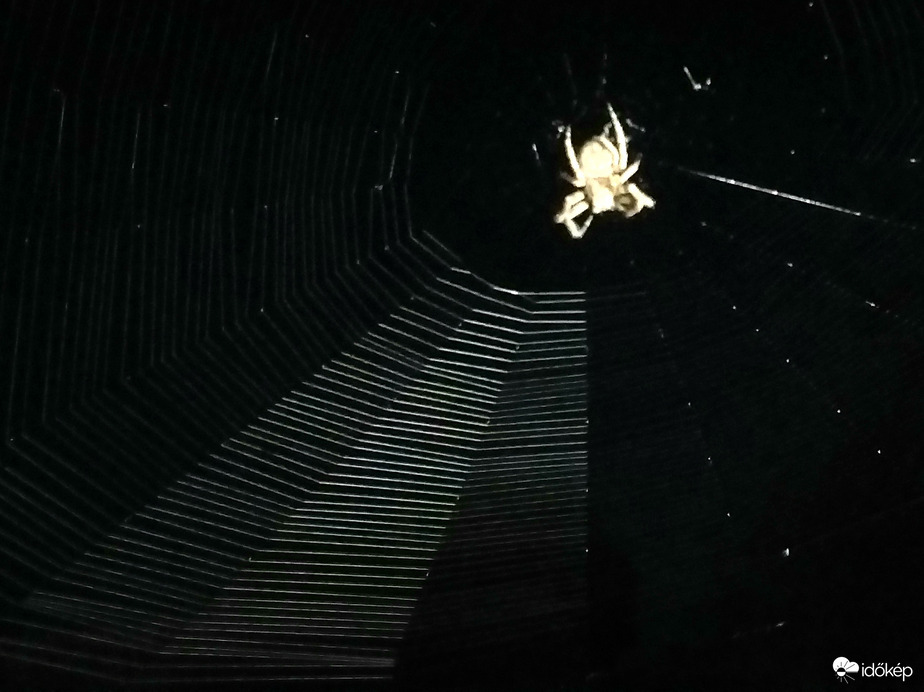 A szőttes kész, az alkotó pihen (részlet)