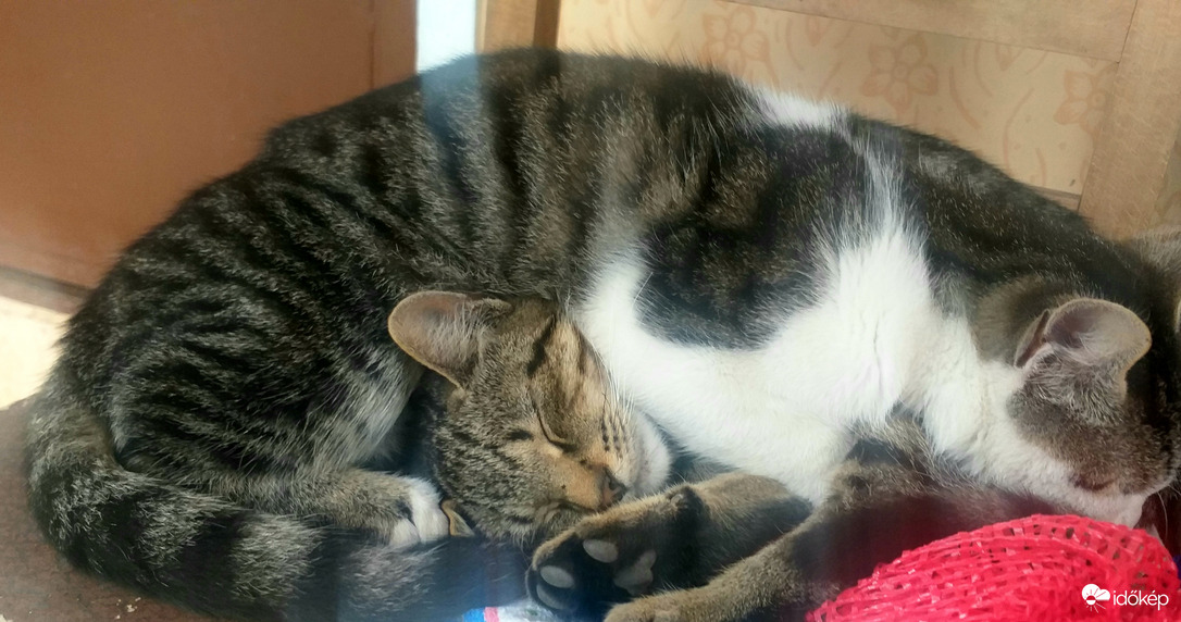 Csak csendesen!! Alszunk.:))