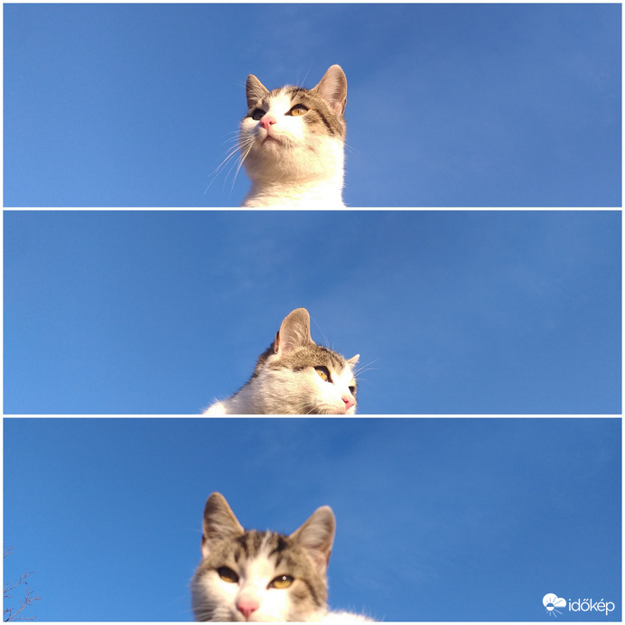 "Még hó is lehet? Az meg micsoda? Én még olyat nem láttam!"  