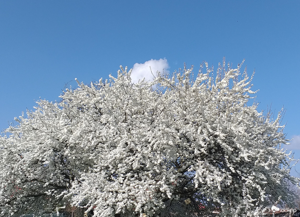 A kis felhő jól elbújt... :)