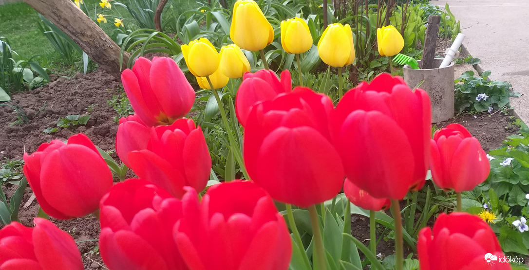 A pénteki eső után 