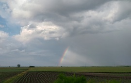Szivárvány