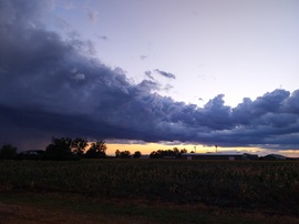 napszava fotója