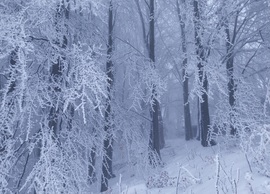 Tél tábornok Kékestetőn