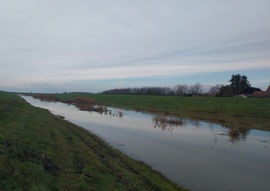 Lassan árad a Tarna 