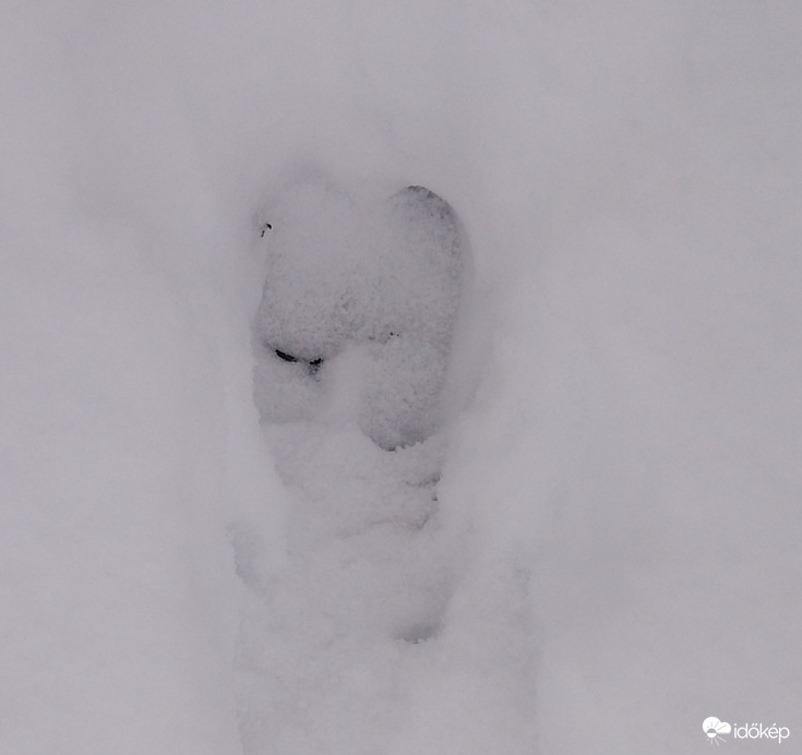 Nyomok a hóban