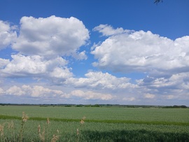 Jászdózsa