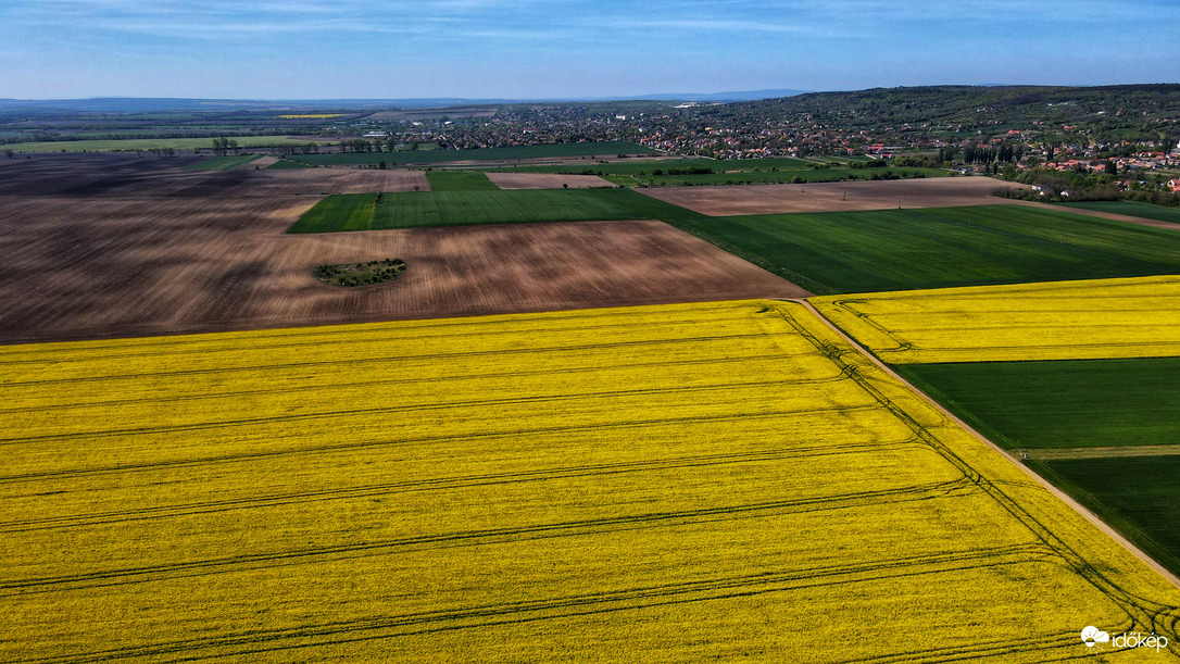A természet festette