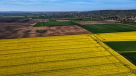 A természet festette