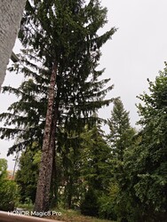 Zalaegerszeg