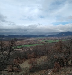 natura1 fotója