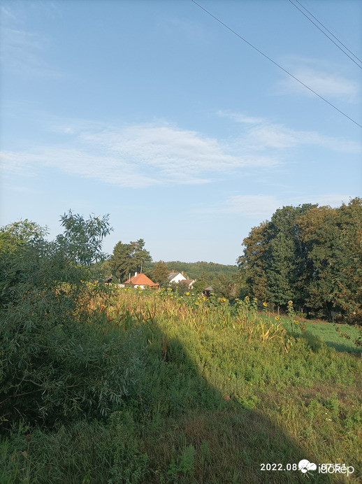Súr
