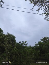Súr