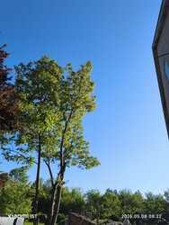 Súr